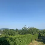 Mandulas A Kishaz Dezsaval Es Kilatassal A Balatonra * Balatongyorok