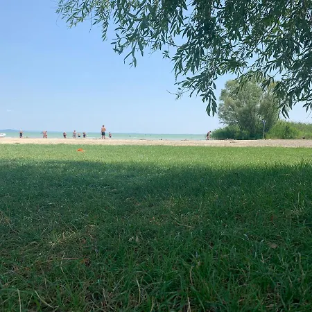 Mandulas A Kishaz Dezsaval Es Kilatassal A Balatonra