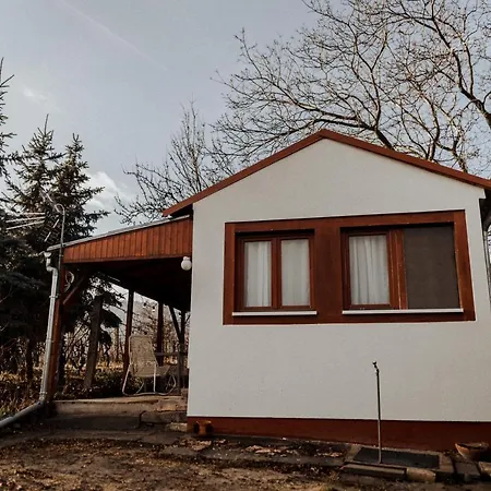 Mandulas A Kishaz Dezsaval Es Kilatassal A Balatonra