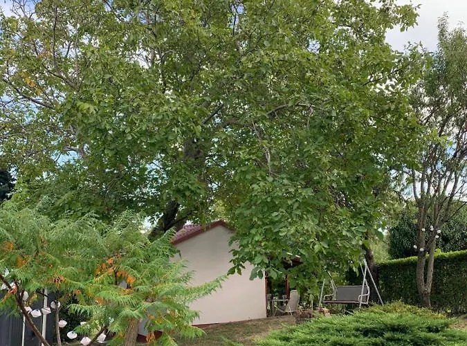 Mandulas A Kishaz Dezsaval Es Kilatassal A Balatonra Apartament